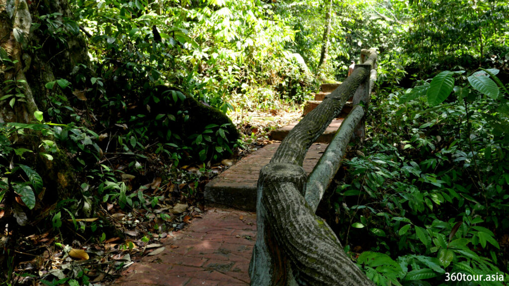 The path is designed to suit the theme of the forest.