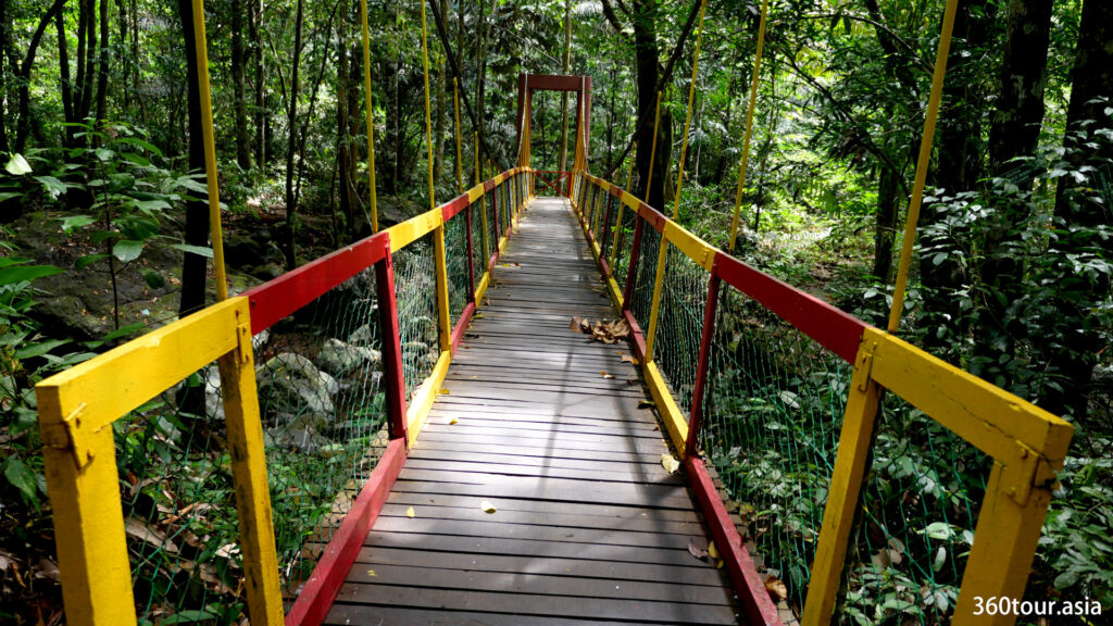 新油漆使悬索桥在树林中脱颖而出。