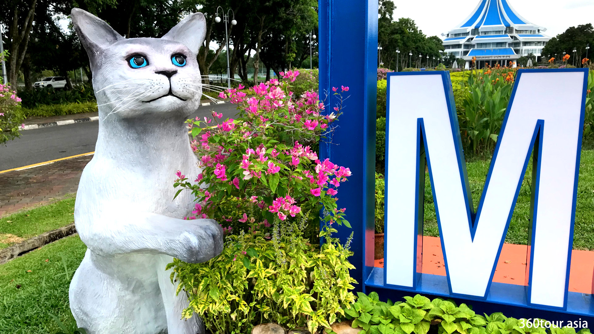 The Cat and the Blue Frame at MBKS Kuching | 360Tour.Asia