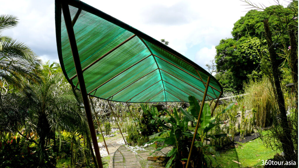 Specially designed canopy allow the comfortable of the visitors walking in the park during the hot sun and provide shades to the orchid plants.