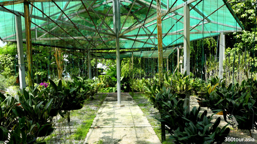 The design of the walkway is unique according to the area of the orchid garden.