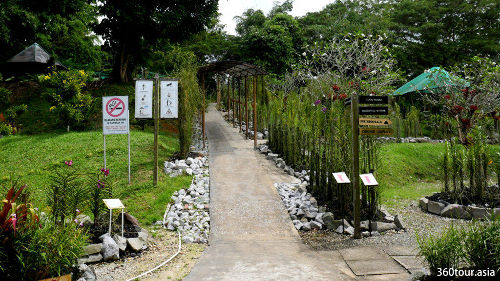 One of the entrance walkway in the orchid garden.